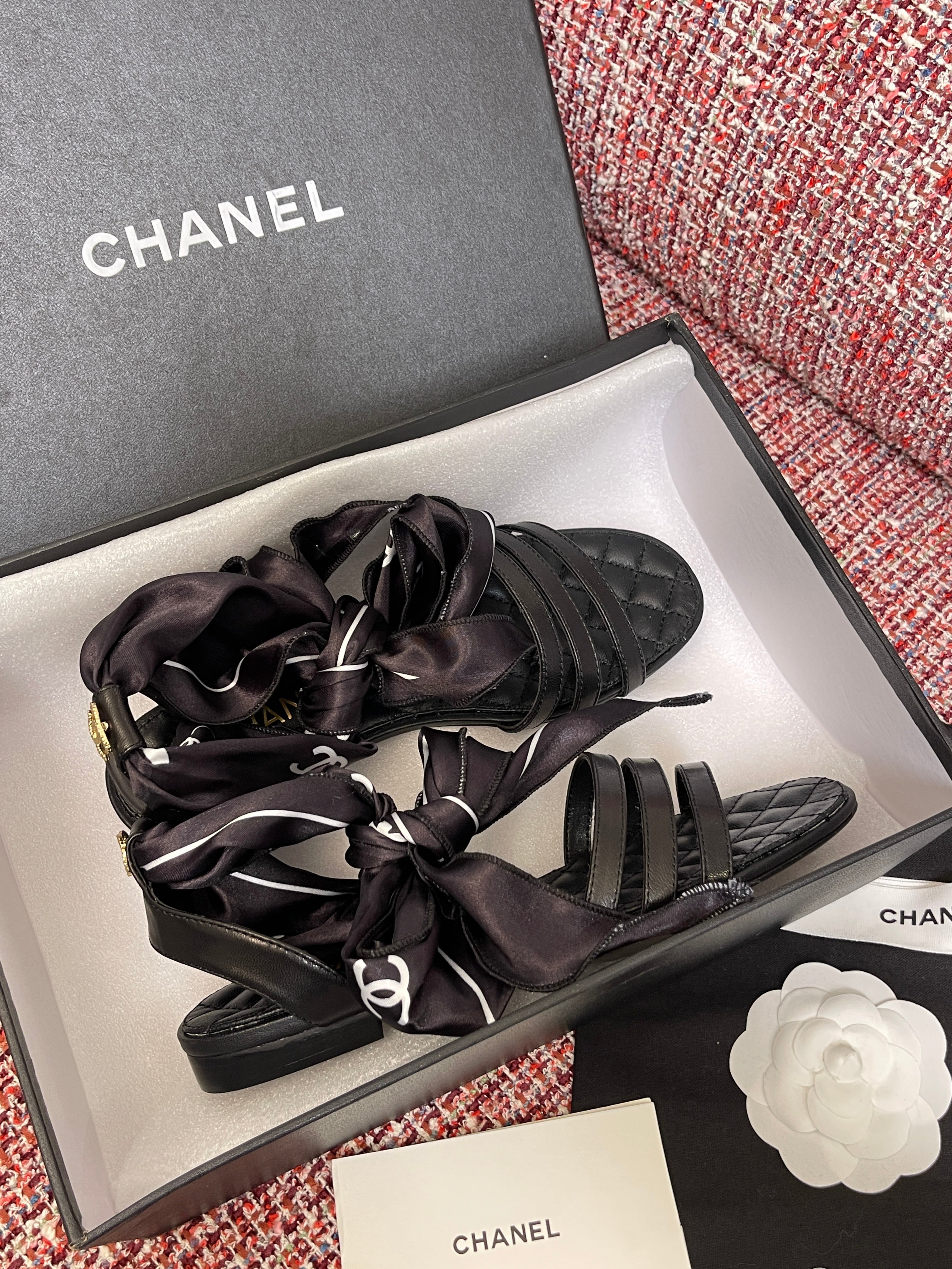 26NEW Flat Ribbon Sandals